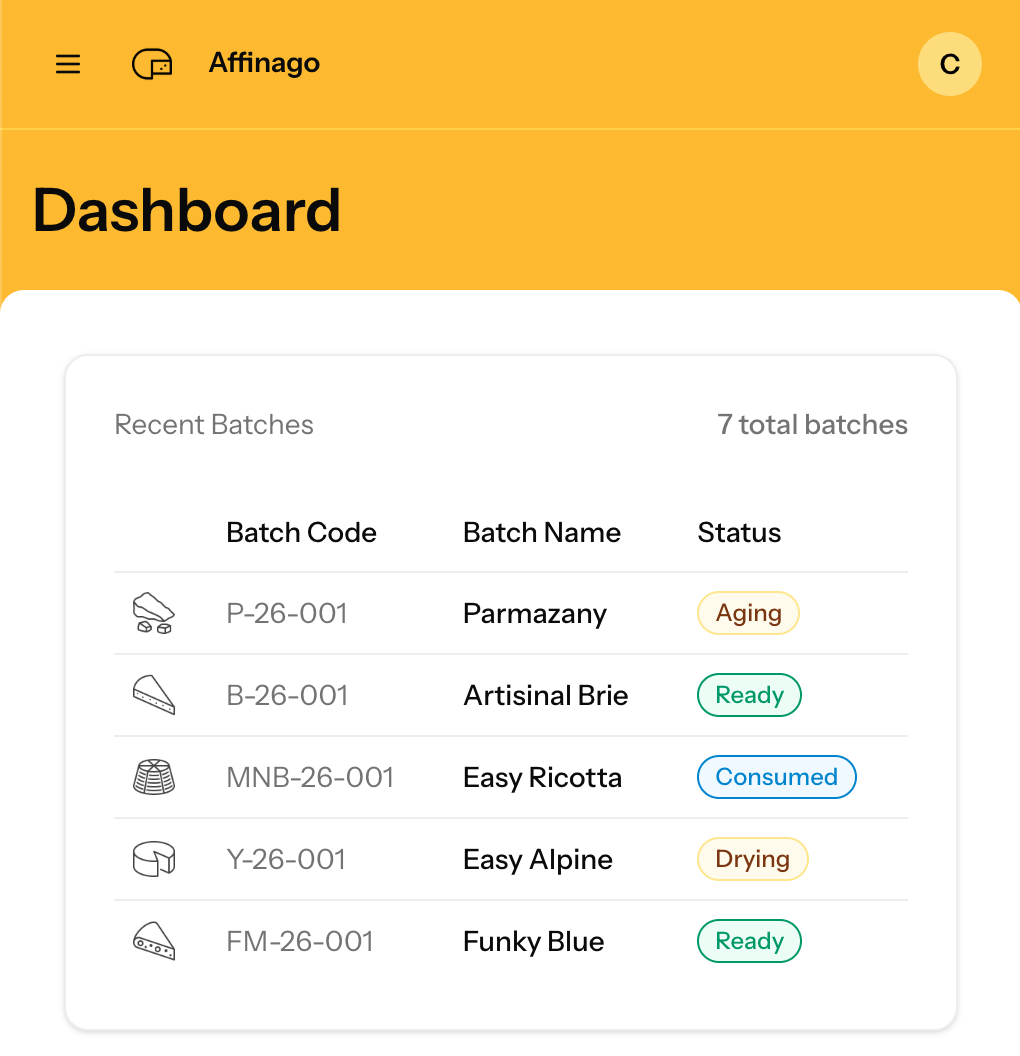 Mobile dashboard view